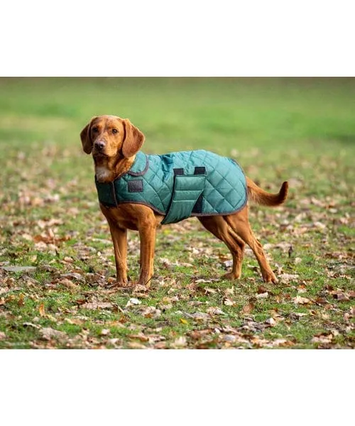 Digby & Fox Quilted Dog Rug Forest | Ingatestone Saddlery