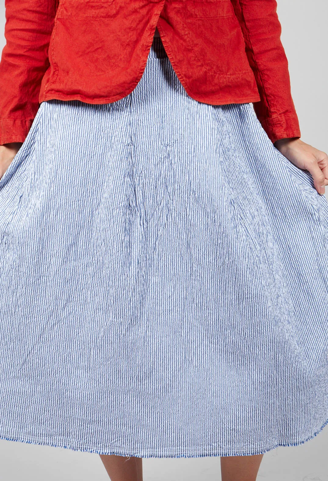 Jola Skirt in Blue Stripes